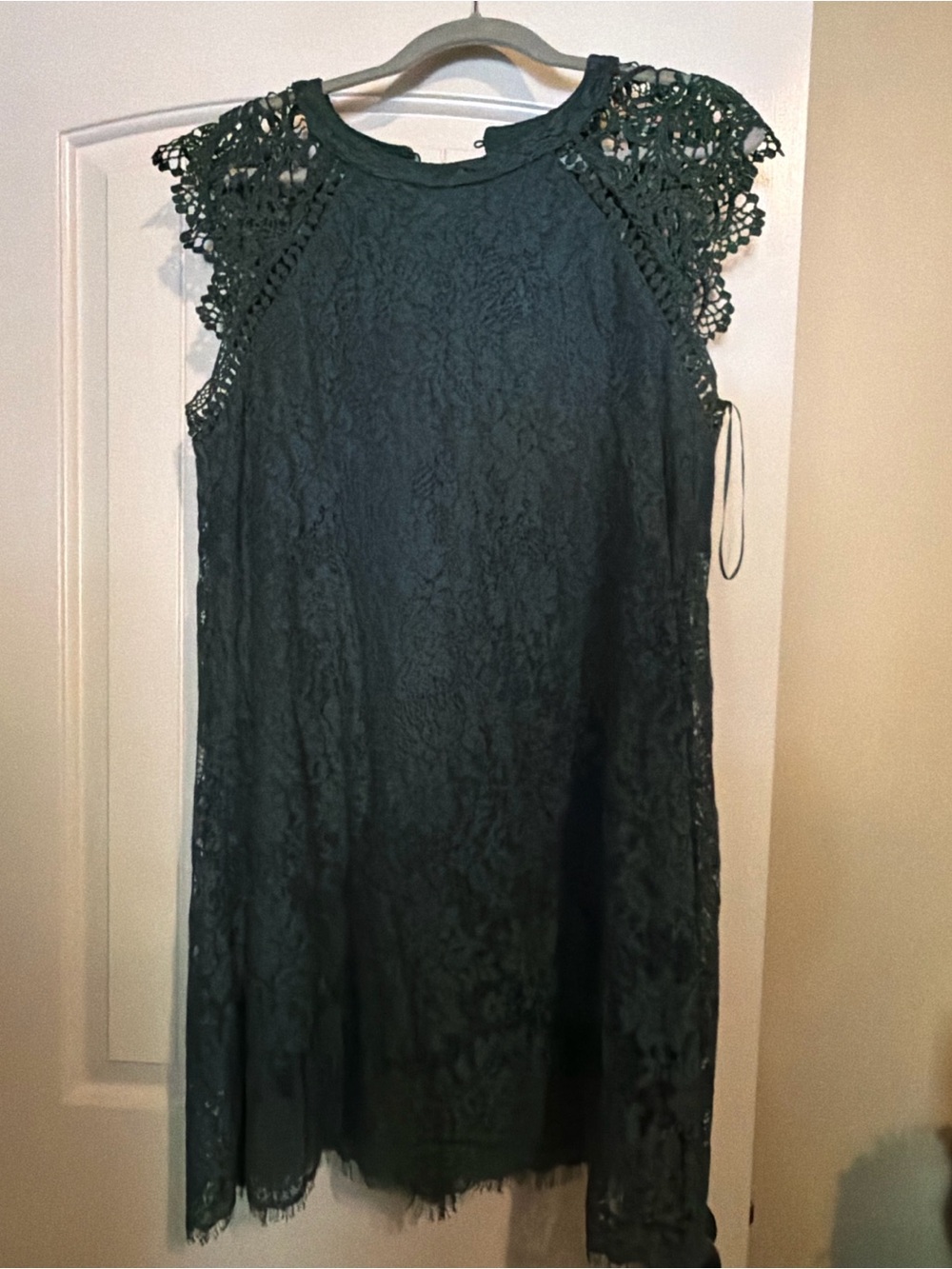 ANDREE BY UNIT Dark Green Lace Cap-Sleeve Mini Dress